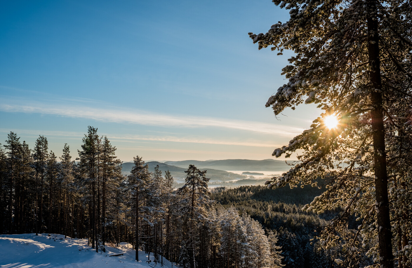 Vintersol i Järvsö
