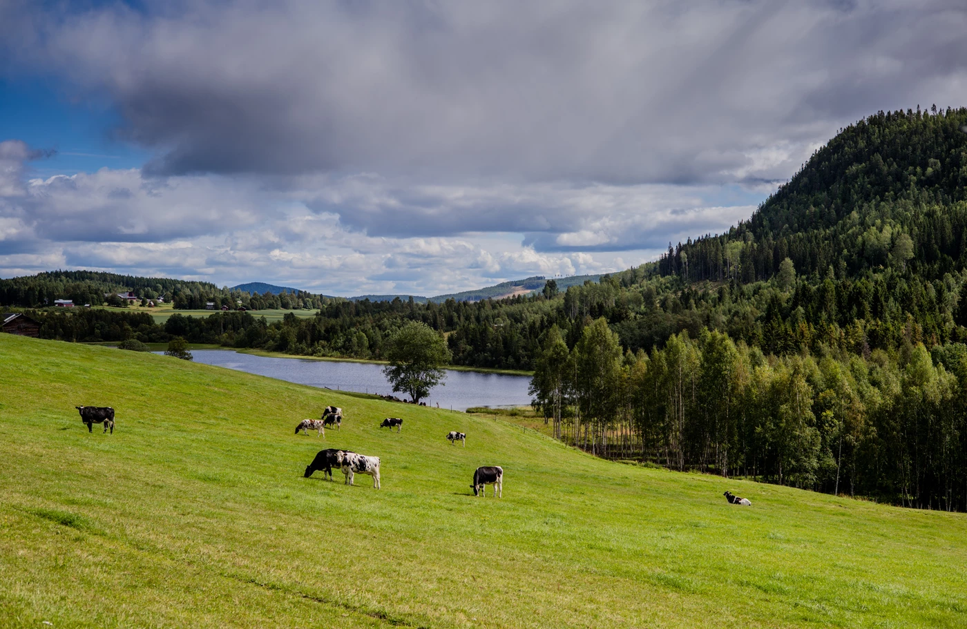 Svågadalen