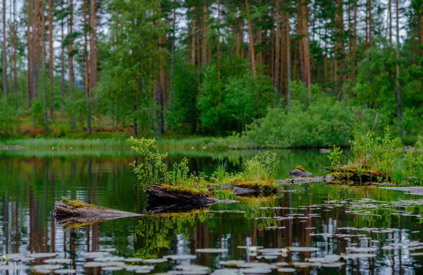 Flästa, Hälsingland