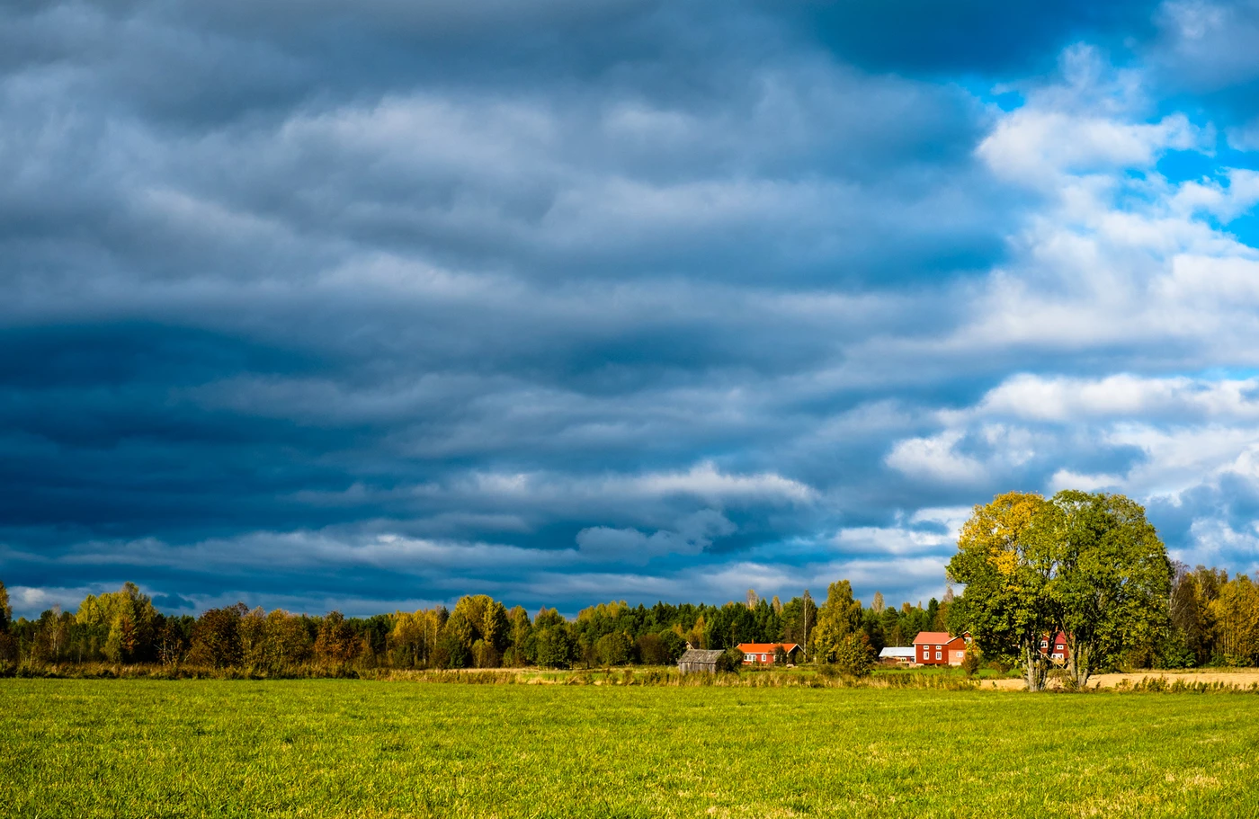 Östanbräck möter hösten