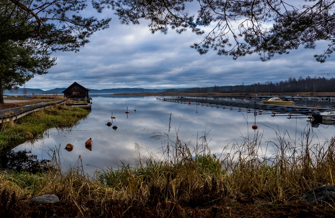 Friggesunds hamn