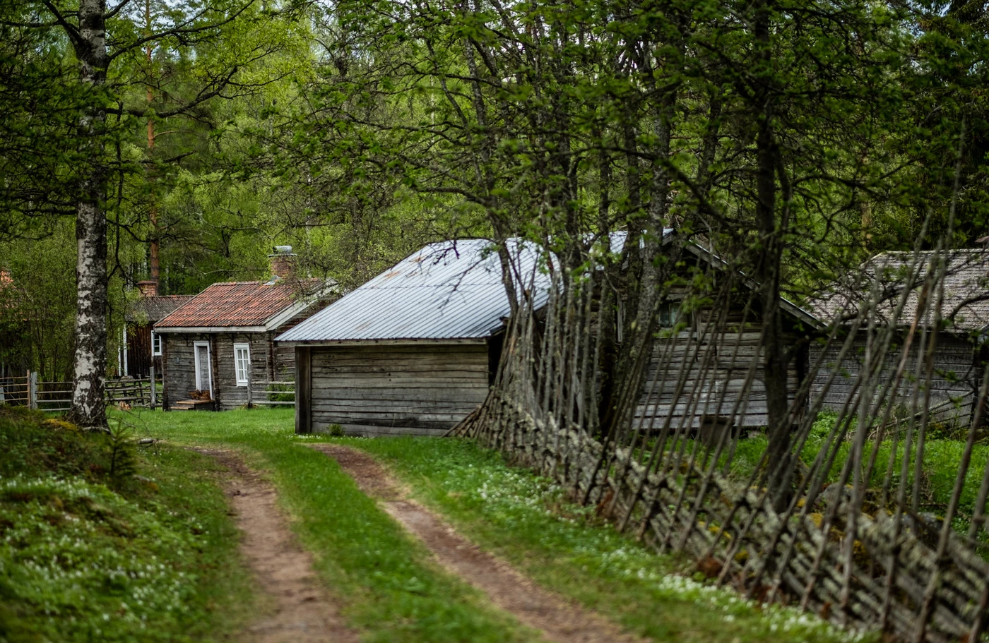 Hjortstavallen; Hög